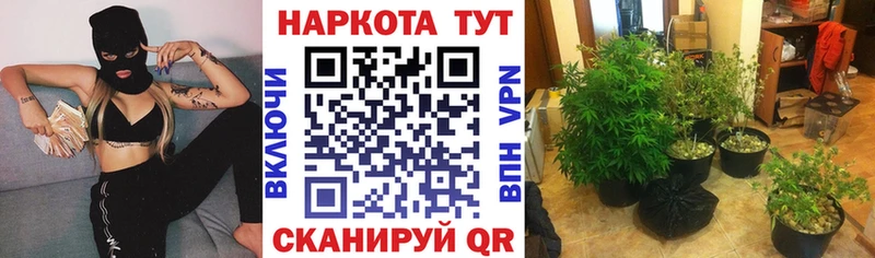 Виды наркоты Урус-Мартан А ПВП  Конопля  Кокаин  Мефедрон  ГАШИШ 