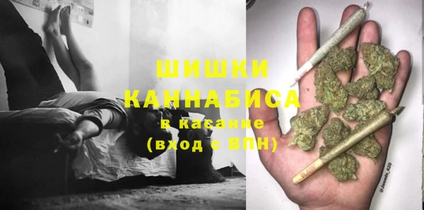 прущие грибы Баксан