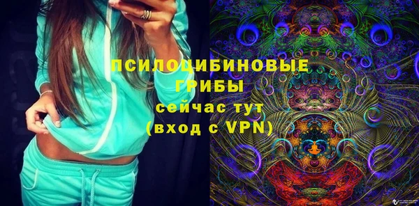 прущие грибы Баксан