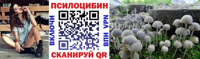 Галлюциногенные грибы Cubensis Урус-Мартан