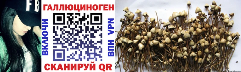 блэк спрут как войти  darknet формула  Псилоцибиновые грибы мухоморы  Урус-Мартан 